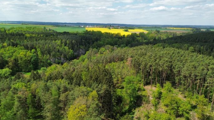 Prodej, Les, Černýšovice