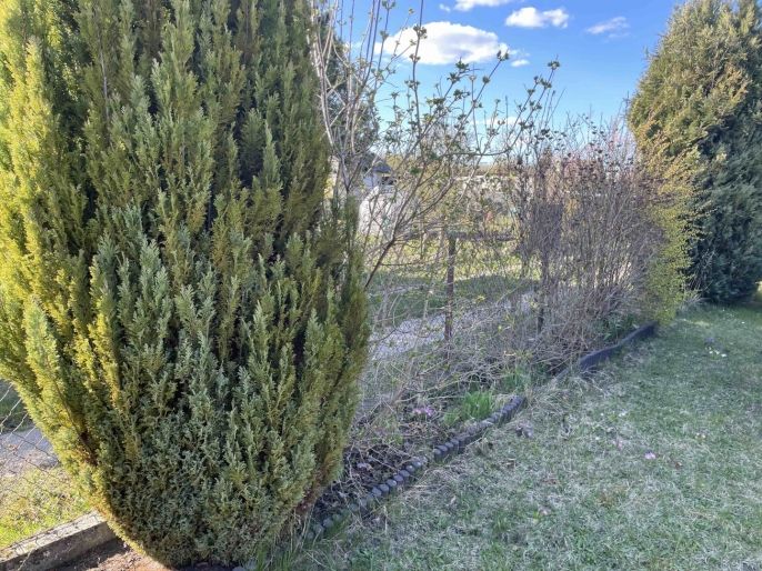 Prodej, Zahrada, Poděbrady