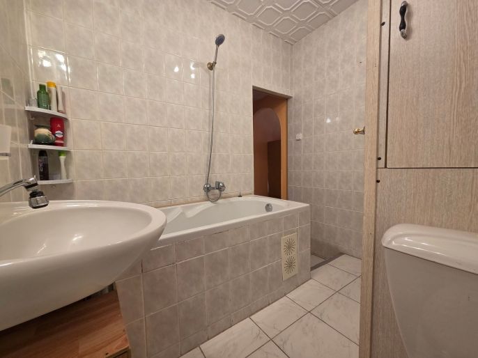 Pronájem, Byt 1+1, Nová Role