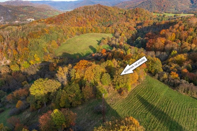 Prodej, Louka, Ústí nad Labem