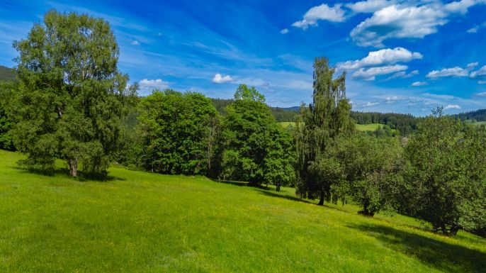 Prodej, Hotel, penzion, Paseky nad Jizerou