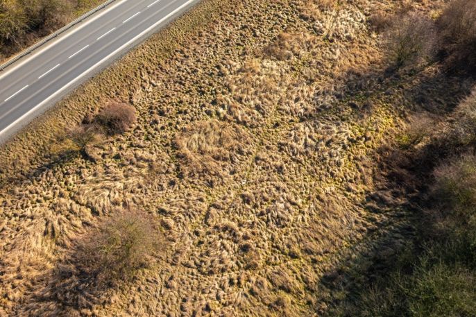 Prodej, Komerční pozemky, Šebrov-Kateřina