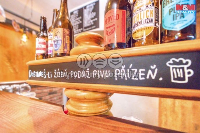 Pronájem, Obchod a služby, Plzeň