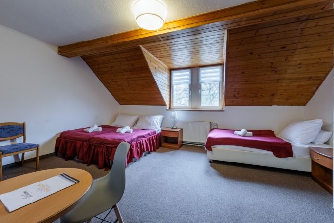 Prodej, Hotel, penzion, Chodov