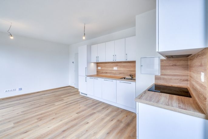 Pronájem, Byt 2+kk, Dobřany