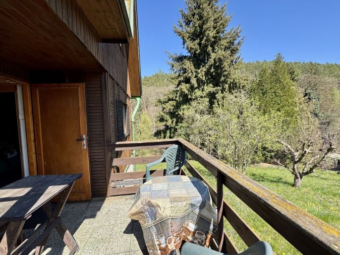 Prodej, Chata, Borotice