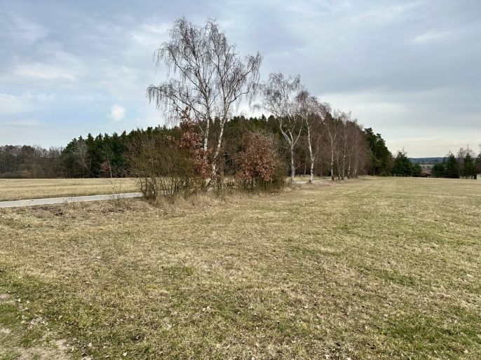 Prodej, Pozemek k bydlení, Skalice