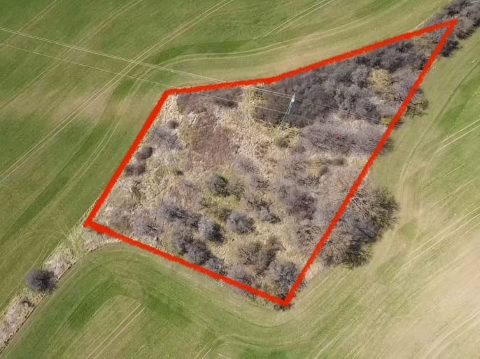 Prodej, Ovocný sad, Sušice