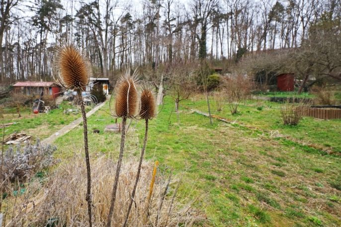 Prodej, Chata, Jemnice