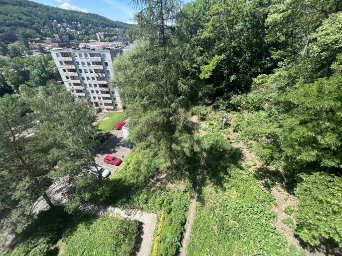 Pronájem, Byt 1+kk, Ústí nad Labem
