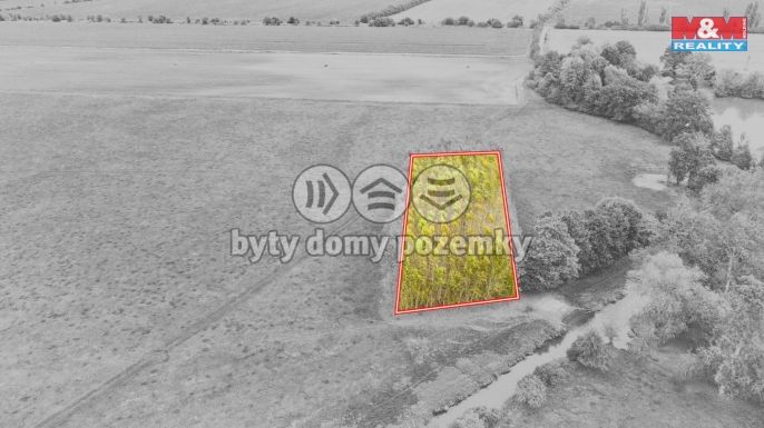 Prodej, Les, Skřivany