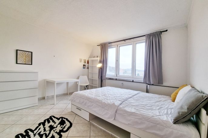 Pronájem, Byt 1+kk, Karlovy Vary