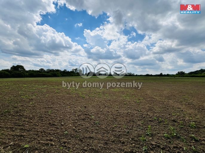 Prodej, Ostatní, Veselí nad Moravou