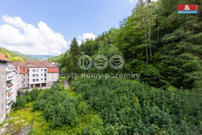 Prodej, Byt 4+1, Jáchymov