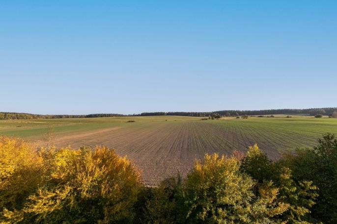 Prodej, Byt 3+1, Líně