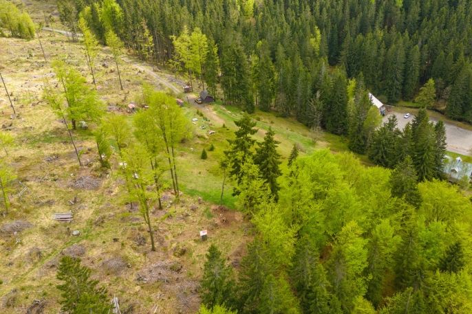 Prodej, Louka, Harrachov