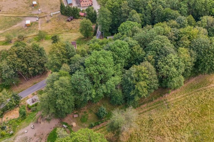 Prodej, Pozemek k bydlení, Březová