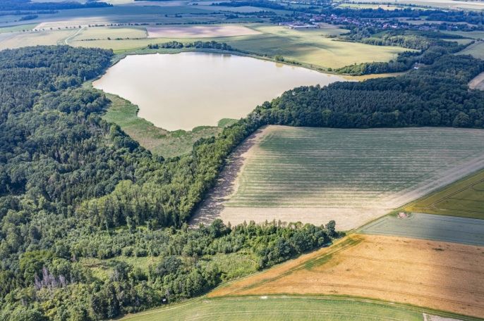 Prodej, Les, Bohuslavice