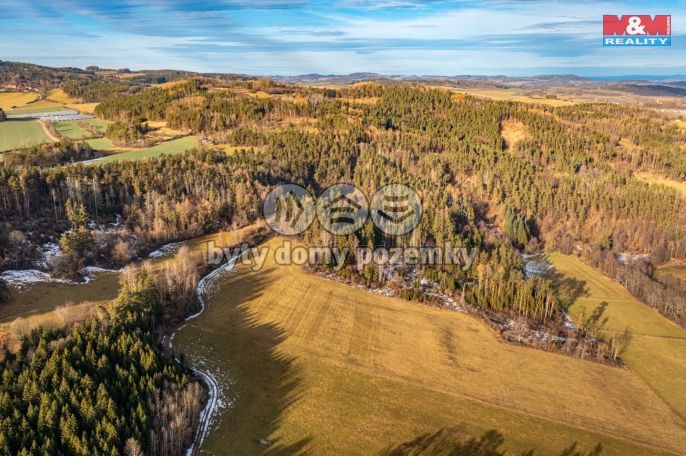 Prodej, Les, Malenice