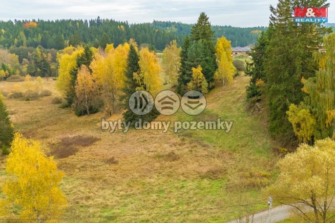 Prodej, Ostatní, Pila