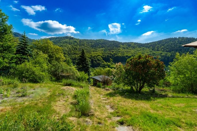 Prodej, Chalupa, Děčín
