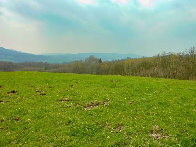 Prodej, Louka, Stružnice