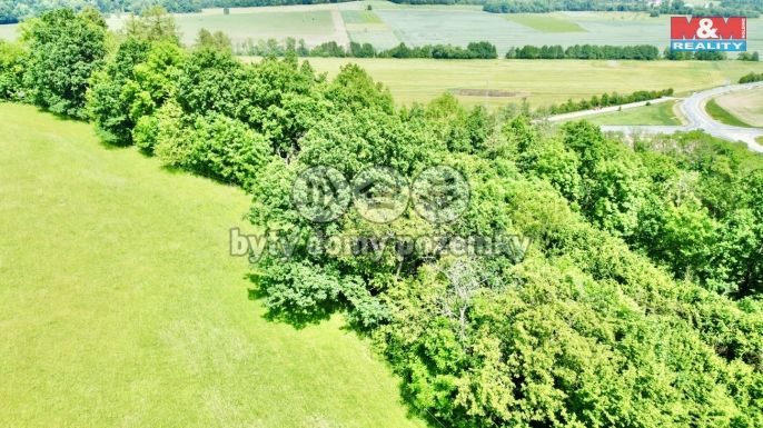 Prodej, Les, Vyšehoří