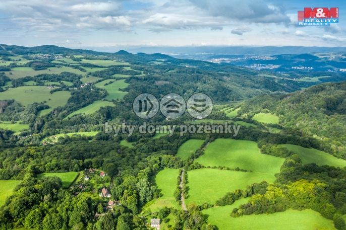 Prodej, Les, Homole u Panny