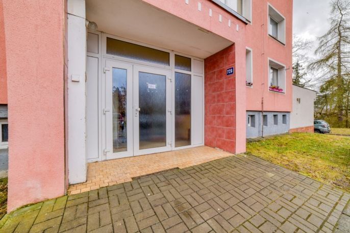 Prodej, Byt 1+1, Planá