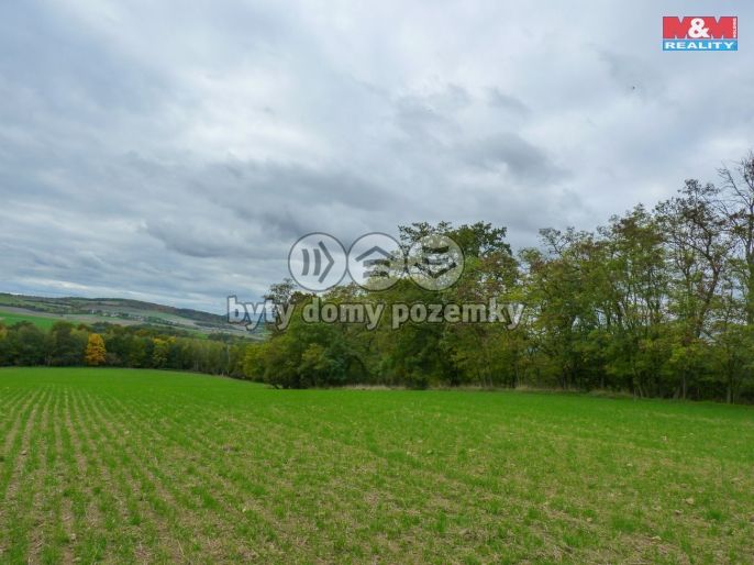 Prodej, Les, Drahobuz