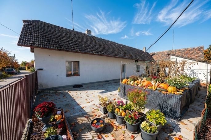 Prodej, Rodinný dům, Holice