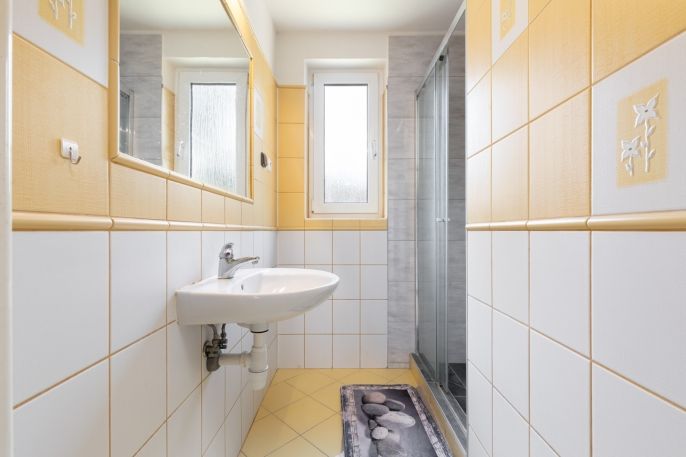 Prodej, Chalupa, Janov