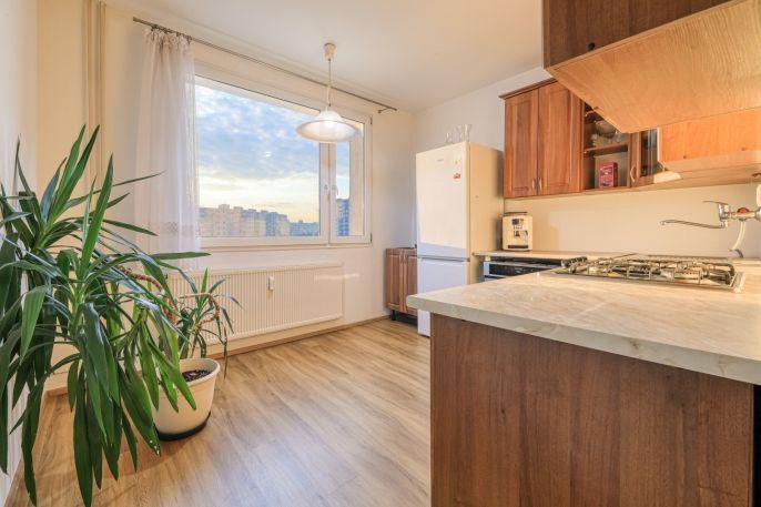 Prodej, Byt 4+1, Plzeň