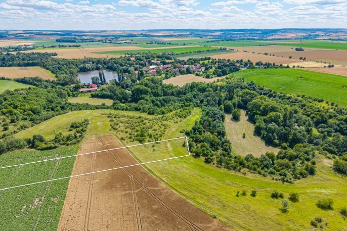Prodej, Pole, Žabonosy