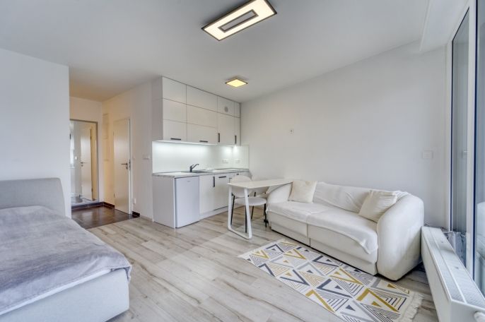 Prodej, Byt 1+kk, Plzeň