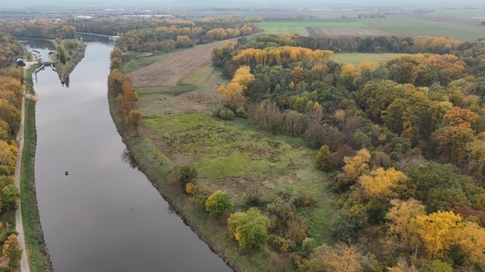Prodej, Louka, Obříství
