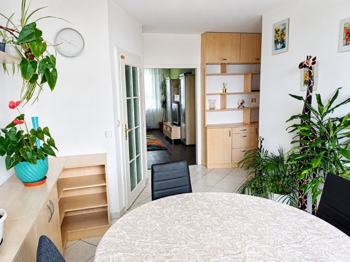 Pronájem, Byt 3+kk, Praha