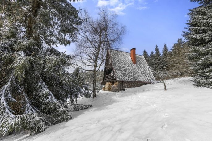 Prodej, Chata, Čenkovice