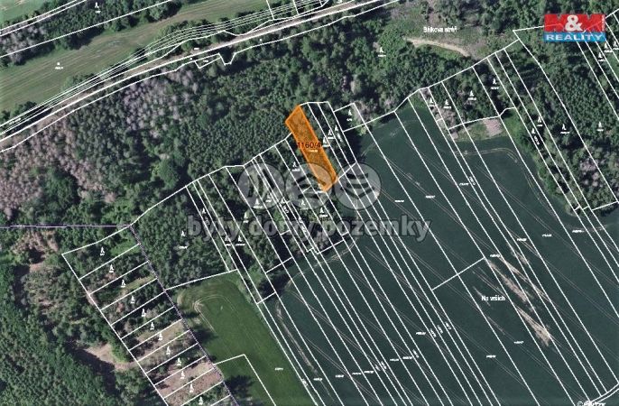 Prodej, Les, Trhový Štěpánov