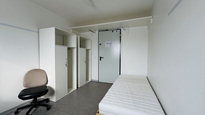 Prodej, Ostatní, Planá