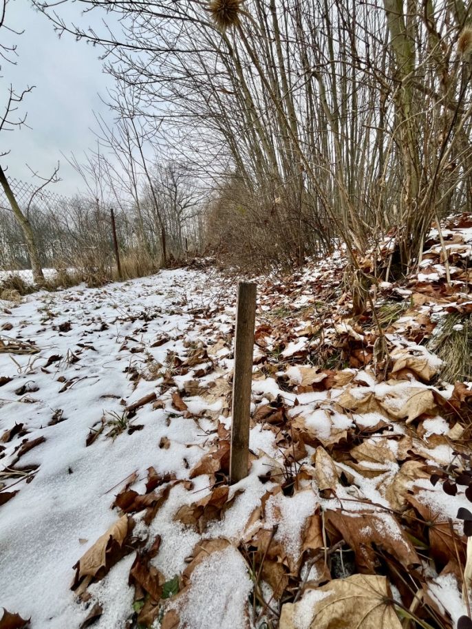 Prodej, Pozemek k bydlení, Vratimov