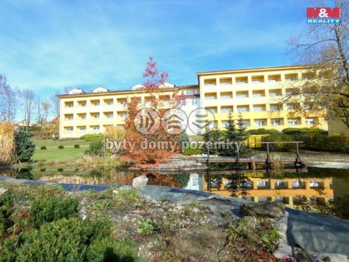 Prodej, Byt 1+1, Frymburk