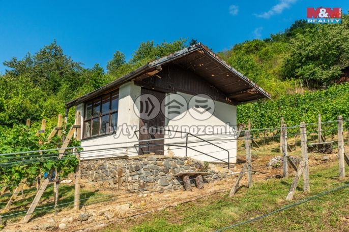 Prodej, Pozemek k bydlení, Viničné Šumice