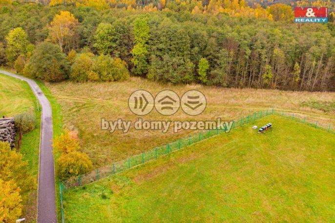 Prodej, Louka, Cvikov