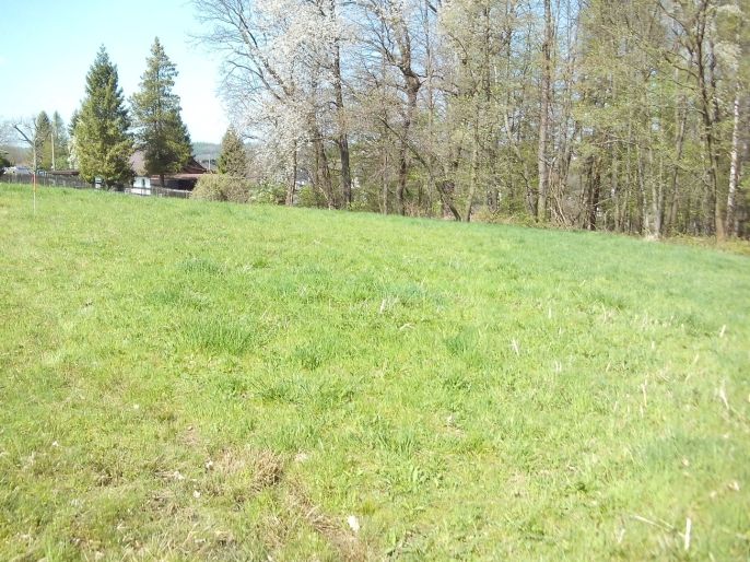 Prodej, Zahrada, Horní Bludovice