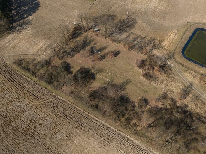 Prodej, Les, Tuřice