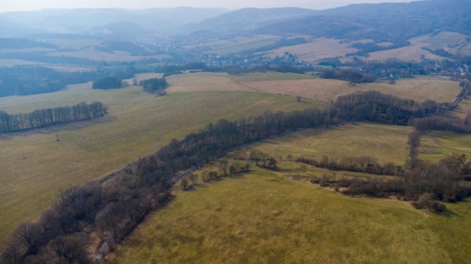 Prodej, Les, Dolní Habartice