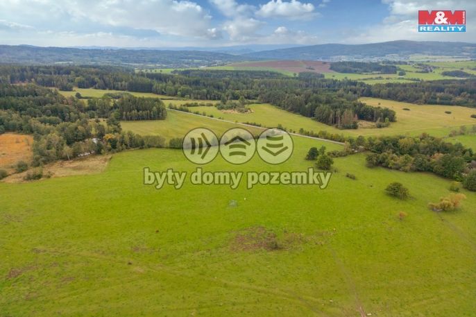 Prodej, Louka, Spálené Poříčí