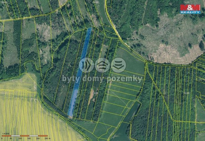 Prodej, Les, Jetětice