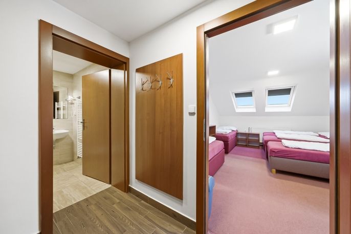 Prodej, Hotel, penzion, Čenkovice